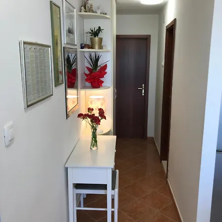 Apartment Walk Split